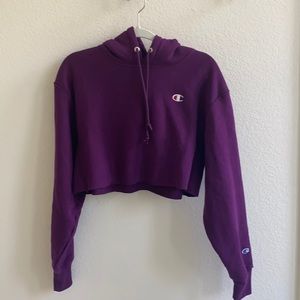 Champion - Purple Berry Cropped Hoodie